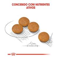 Ração Royal Canin Mini Dermacomfort para Cães Adultos ou Idosos de Raças Pequenas - 1 Kg - 3
