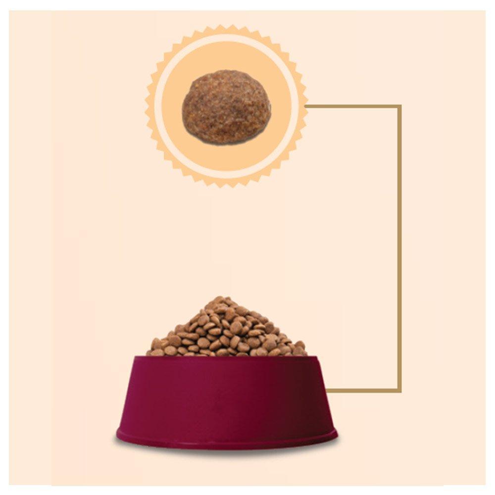 Ração GranPlus Choice Frango e Carne Cães Adultos - 20 Kg - 3