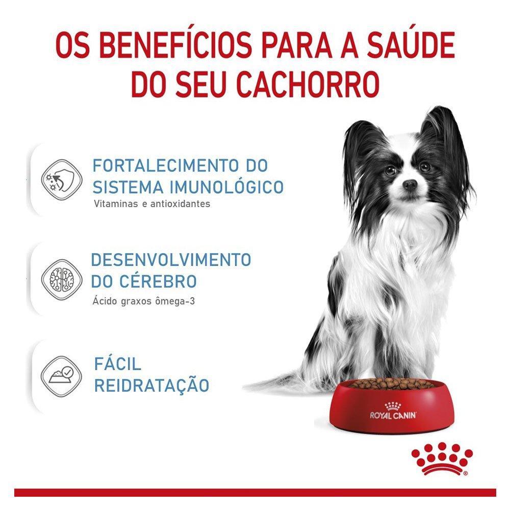 Ração Royal Canin X-Small Junior para Cães Filhotes - 2,5 Kg - 5