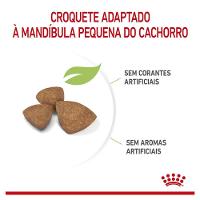 Ração Royal Canin X-Small Junior para Cães Filhotes - 2,5 Kg