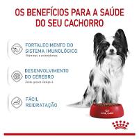 Ração Royal Canin X-Small Junior para Cães Filhotes - 2,5 Kg - 5