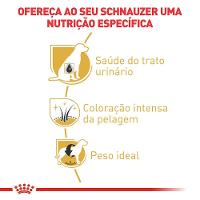 Ração Royal Canin Miniature Schnauzer Cães Adultos- 7,5 Kg - 2