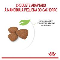 Ração Royal Canin Mini Indoor Junior Cães Filhotes - 2,5 Kg