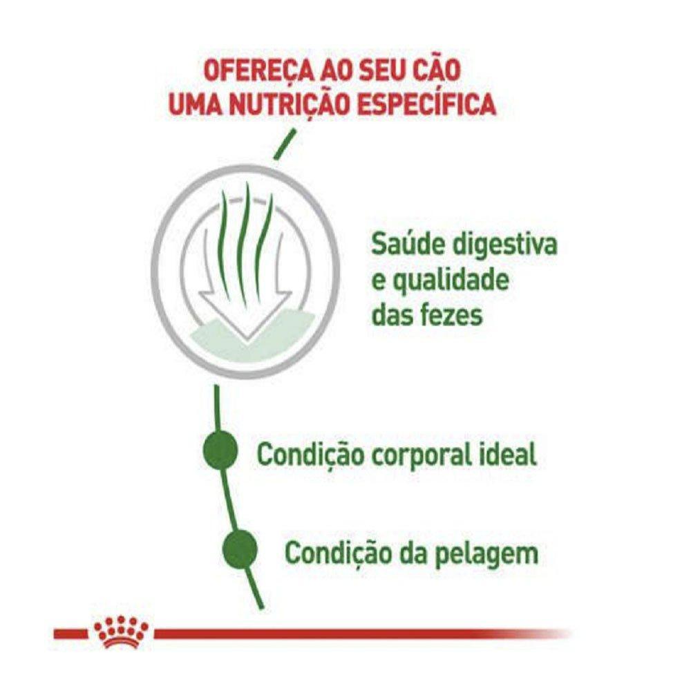 Ração Royal Canin Mini Indoor para Cães Adultos de Raças Pequenas com 10 Meses ou mais - 7,5 Kg - 4
