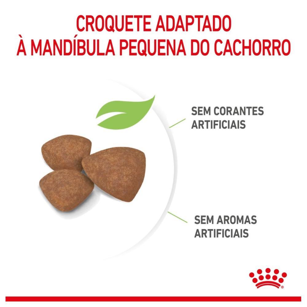 Ração Royal Canin Mini Junior para Cães de Raças Pequenas Filhotes de 2 a 10 Meses de Idade - 7,5 Kg - 3