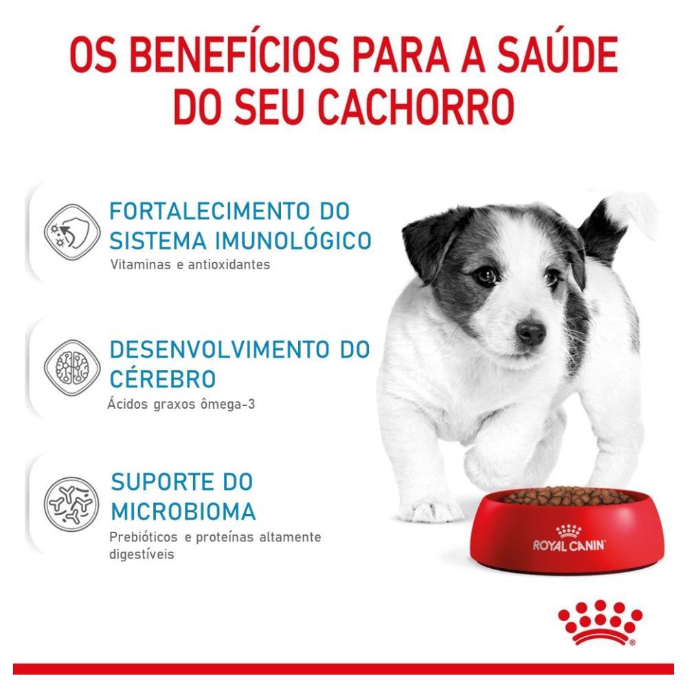 Ração Royal Canin Mini Junior para Cães de Raças Pequenas Filhotes de 2 a 10 Meses de Idade - 7,5 Kg - 6