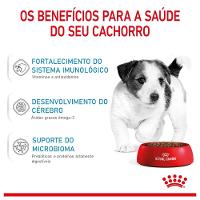 Ração Royal Canin Mini Junior para Cães de Raças Pequenas Filhotes de 2 a 10 Meses de Idade - 7,5 Kg - 6