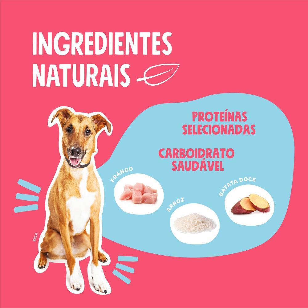 Ração Seca Quatree Select Frango e Arroz Cães Adultos Raças Médias e Grandes - 20 Kg - 7