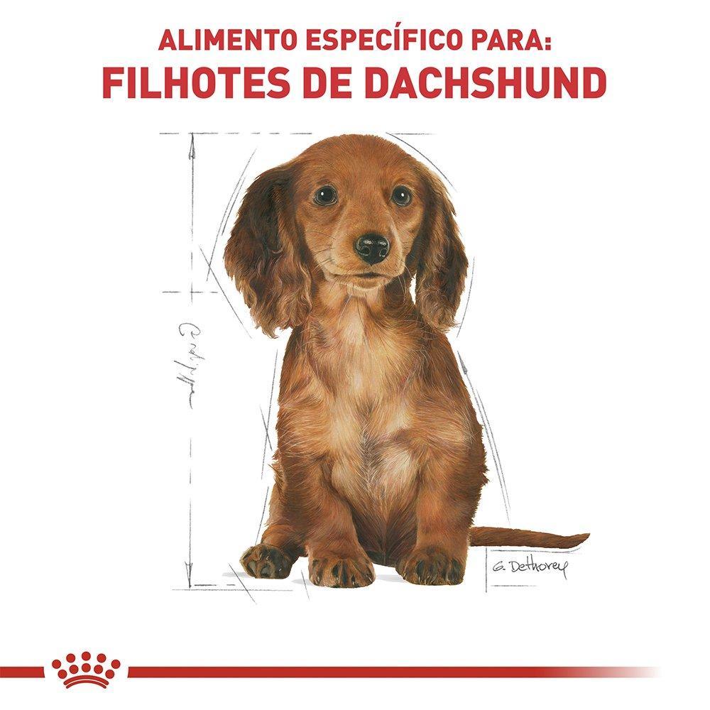 Ração Royal Canin Puppy Dachshund Cães Filhotes - 2,5 Kg - 4