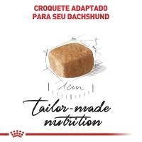 Ração Royal Canin Puppy Dachshund Cães Filhotes - 2,5 Kg - 3