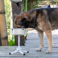 Comedouro Único Ajustável NF Pet Sistema Antiformiga - Tam. P - 8