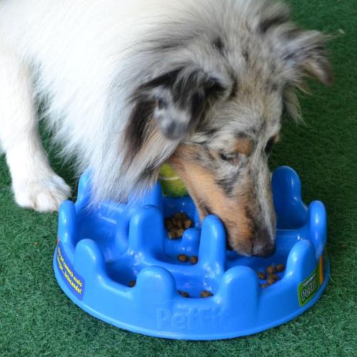 Comedouro Interativo Pet Games PetFit Azul - Tam. Único