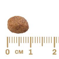 Ração GranPlus Menu Carne e Arroz para Cães Filhotes - 15 Kg - 2