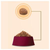 Ração GranPlus Menu Carne e Arroz para Cães Filhotes - 20 Kg - 5