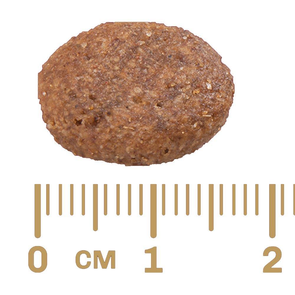 Ração GranPlus Menu Carne e Arroz para Cães Adultos - 20 Kg - 3