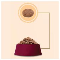 Ração GranPlus Menu Carne e Arroz Cães Adultos - 10,1 Kg - 3