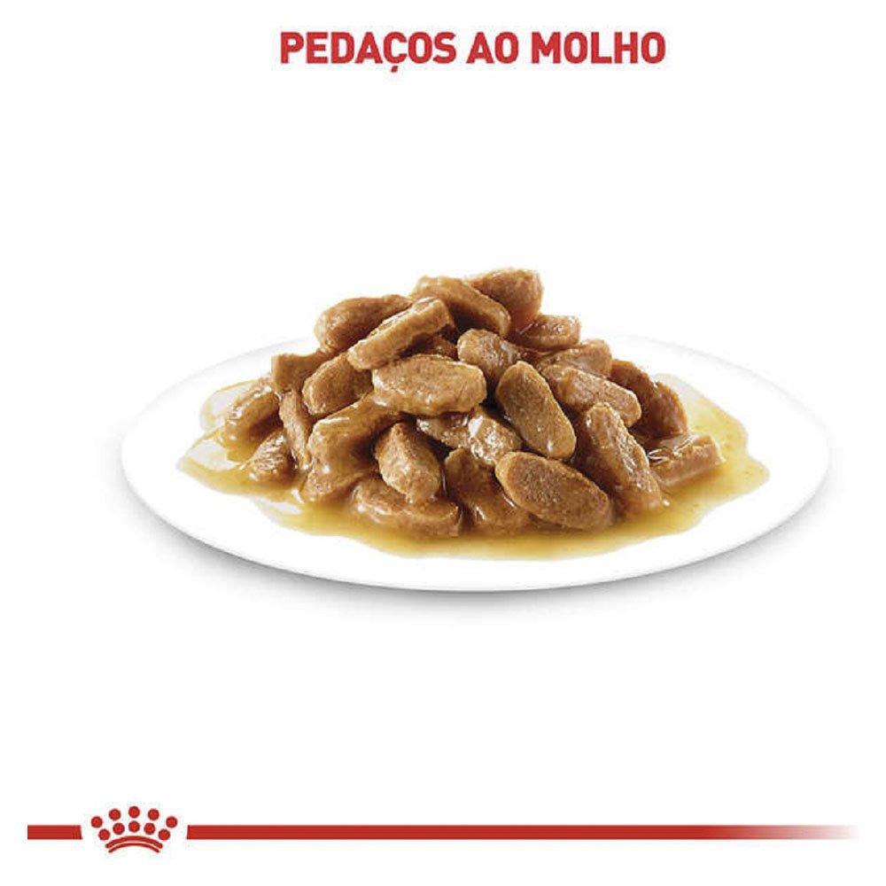 Ração Royal Canin Sachê Feline Kitten Instinctive para Gatos Filhotes com ate 12 meses - 85 g - 5