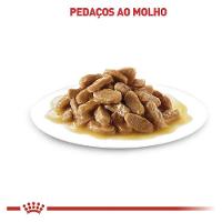 Ração Royal Canin Sachê Feline Kitten Instinctive para Gatos Filhotes com ate 12 meses - 85 g - 5