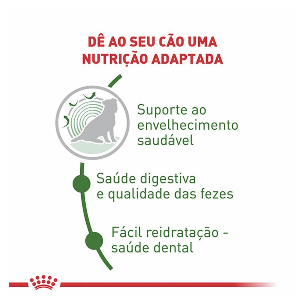 Ração Seca Royal Canin Mini Indoor Senior para Cães de Raças Pequenas com 8 Anos ou mais - 7,5 Kg - 4