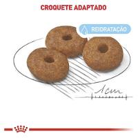Ração Seca Royal Canin Mini Indoor Senior para Cães de Raças Pequenas com 8 Anos ou mais - 7,5 Kg - 3