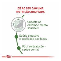 Ração Seca Royal Canin Mini Indoor Senior para Cães de Raças Pequenas com 8 Anos ou mais - 7,5 Kg