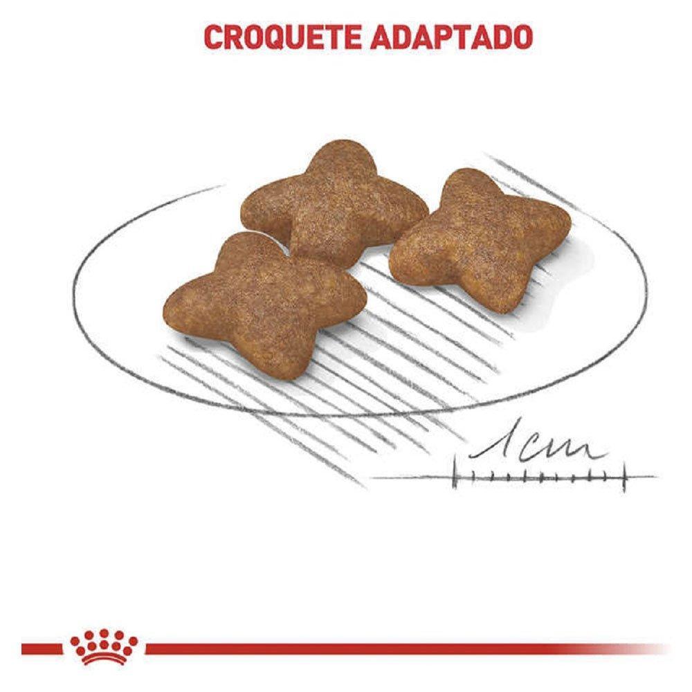 Ração Royal Canin Mini Adult para Cães Adultos de Raças Pequenas com 10 Meses ou mais - 7,5 Kg - 3