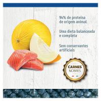 Ração Seca Farmina N&D Ocean Salmão e Melão para Cães Filhotes Raças Pequenas - 2,5 Kg