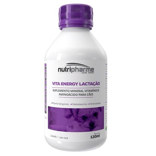 Suplemento Vitamínico Aminoácido Vita Energy Lactação - 120 mL