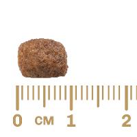 Ração GranPlus Menu Carne e Arroz Cães Adultos Mini- 10,1 Kg - 2