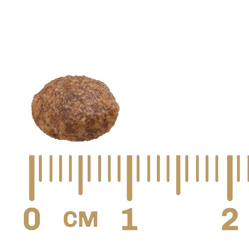 Ração GranPlus Frango e Arroz para Cães Adultos Mini e Pequenas - 1 Kg - 3