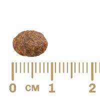 Ração GranPlus Frango e Arroz para Cães Adultos Mini - 3 Kg - 3