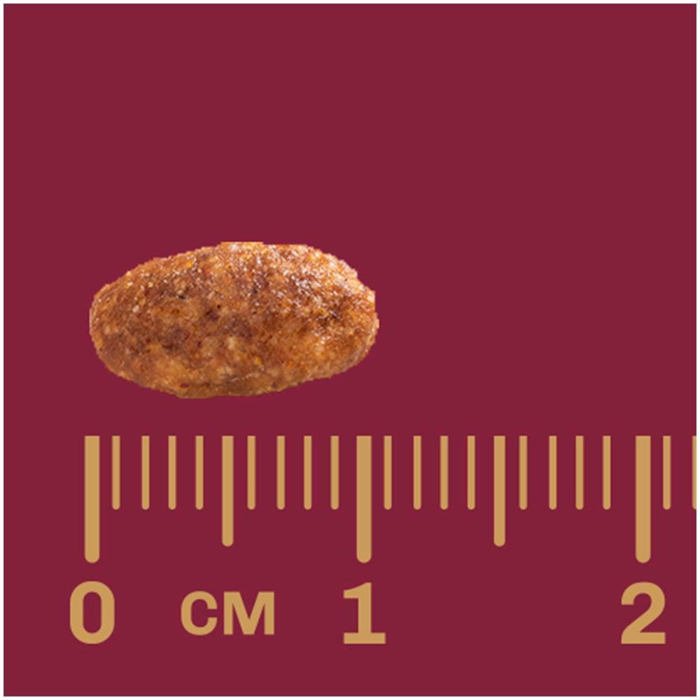 Ração Gran Plus Frango e Arroz para Gatos Adultos - 10,1 Kg - 4