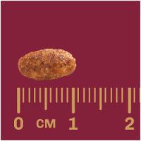 Ração Gran Plus Frango e Arroz para Gatos Adultos - 10,1 Kg - 4