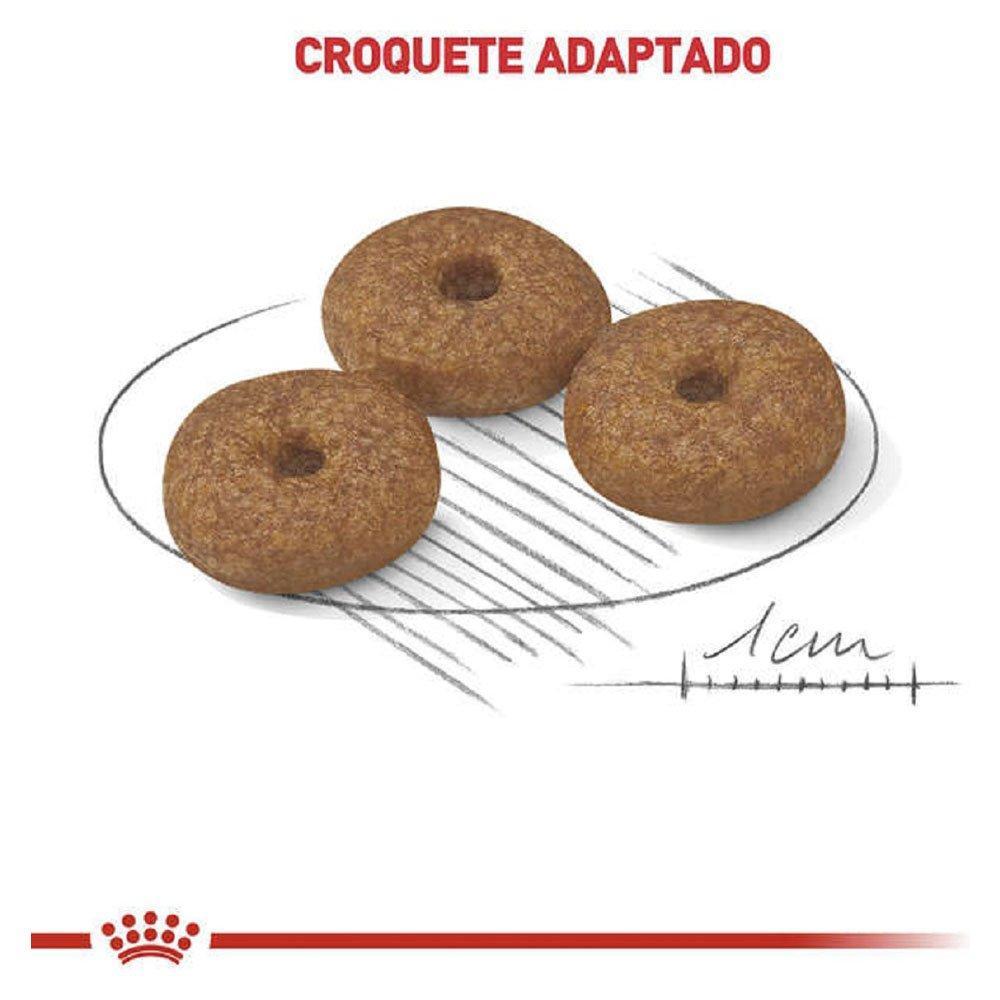 Ração Royal Canin Mini Ageing 12+ Cães Idosos de Raças Pequenas com 12 Anos ou mais - 2,5 Kg - 3