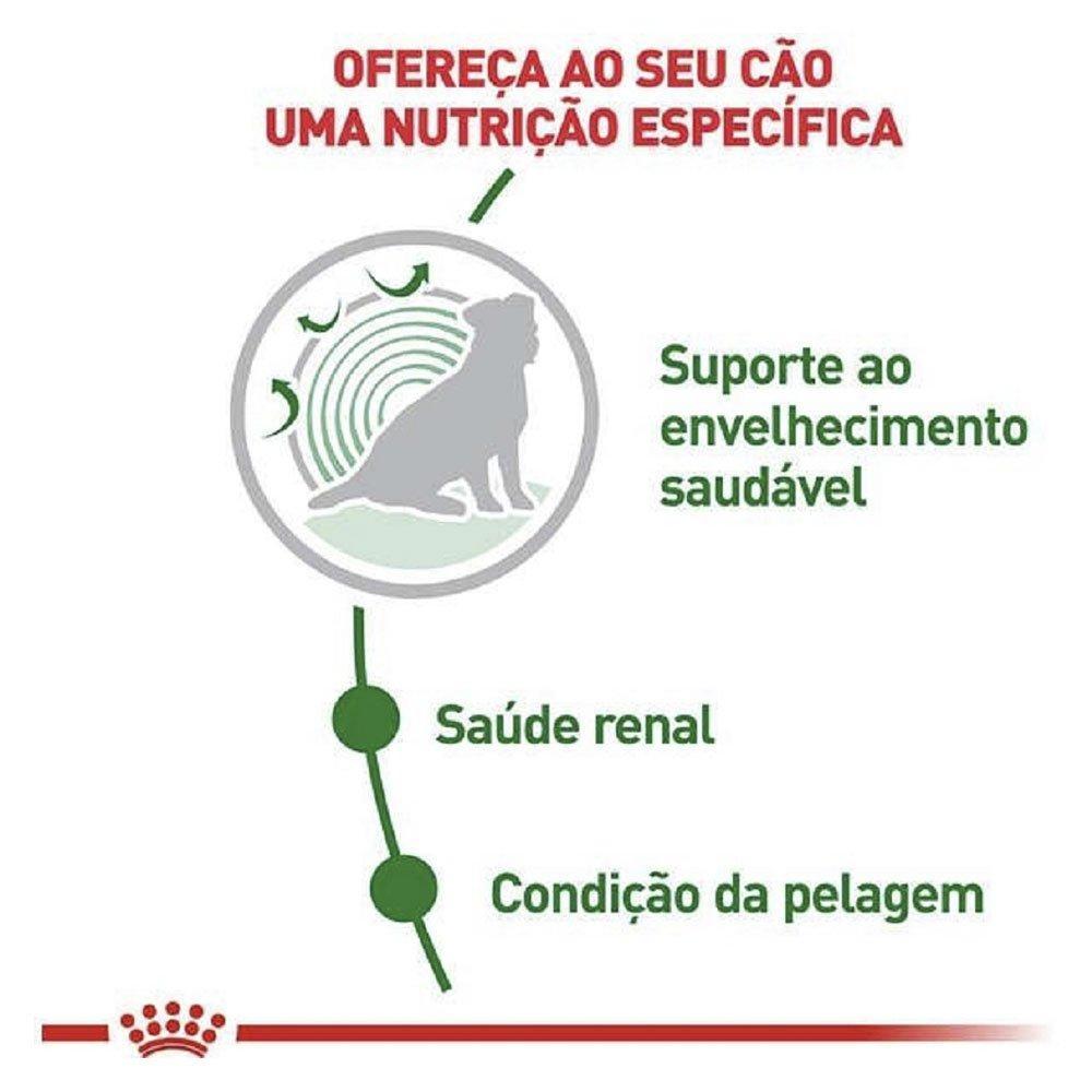 Ração Royal Canin Mini Ageing 12+ Cães Idosos de Raças Pequenas com 12 Anos ou mais - 2,5 Kg - 4