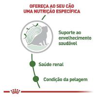 Ração Royal Canin Mini Ageing 12+ Cães Idosos de Raças Pequenas com 12 Anos ou mais - 2,5 Kg