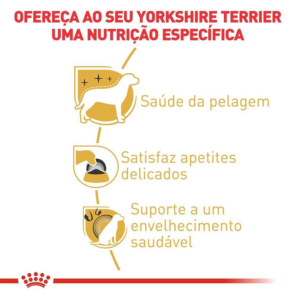 Ração Royal Canin Cães Adultos da Raça Yorkshire - 2,5 Kg - 2