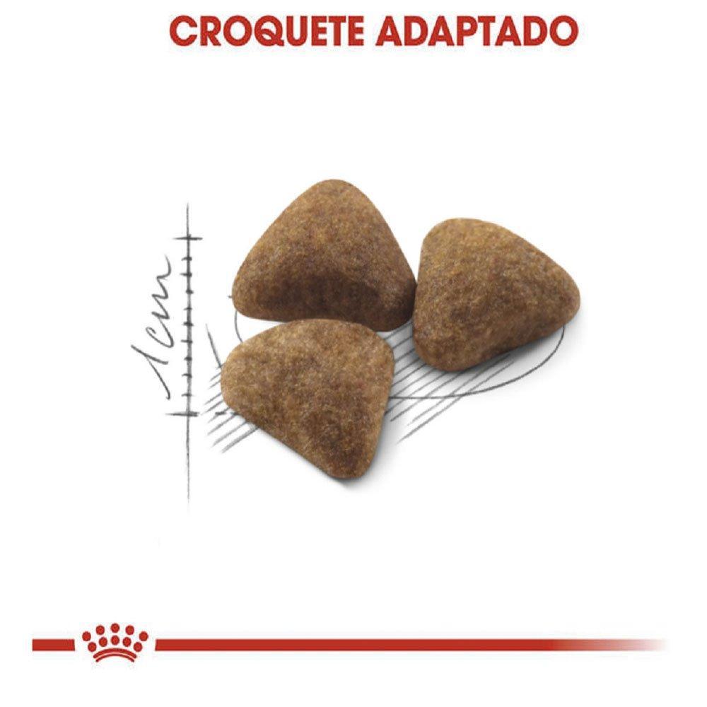 Ração Royal Canin Cat Indoor para Gatos Adultos - 1,5 Kg - 3