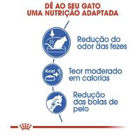 Ração Royal Canin Cat Indoor para Gatos Adultos - 1,5 Kg - 2