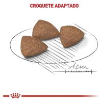 Ração Royal Canin Mini Indoor Adult para Cães Adultos Raças Pequenas com 10 Meses ou mais - 2,5 Kg - 3