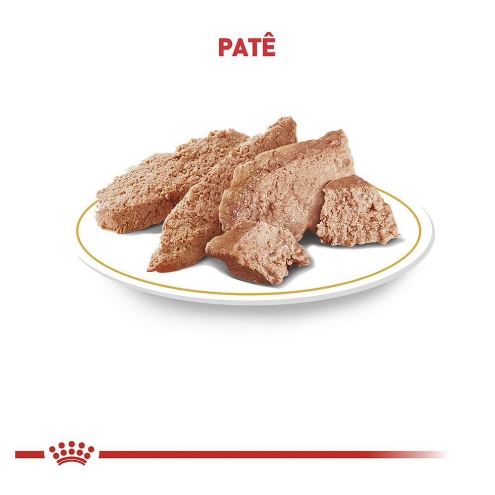 Ração Royal Canin Lata Canine Veterinary Diet Urinary S/O - 410 g - 2