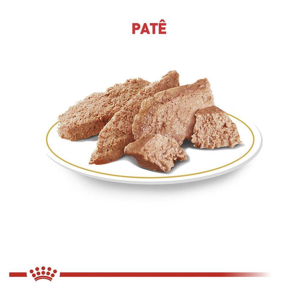 Ração Royal Canin Lata Canine Veterinary Diet Cardiac Wet para Cães com Doenças Cardíacas - 410 g - 2