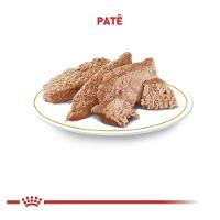 Ração Royal Canin Lata Canine Veterinary Diet Cardiac Wet para Cães com Doenças Cardíacas - 410 g - 2