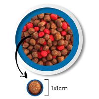 Ração Japi Tradicional Carne para Cães Adultos - 10,1 Kg - 3