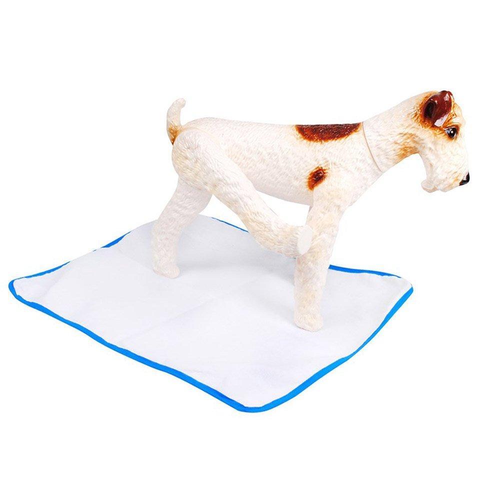 Tapete Higiênico Pet Wash São Benedito Pet Lavável Azul - Tam. P - 3