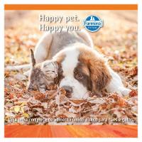 Ração Farmina N&D Pumpkin Frango, Abóbora e Romã para Gatos Adultos - 1,5 Kg - 6