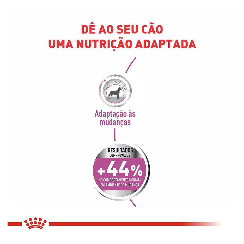 Ração Royal Canin Relax Care Cães Adultos Raças Mini- 2.5 Kg - 2