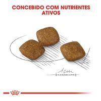 Ração Royal Canin Relax Care Cães Adultos Raças Mini- 2.5 Kg - 1