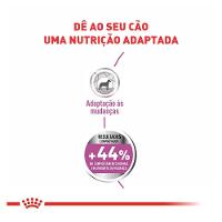 Ração Royal Canin Relax Care Cães Adultos Raças Mini- 2.5 Kg - 2