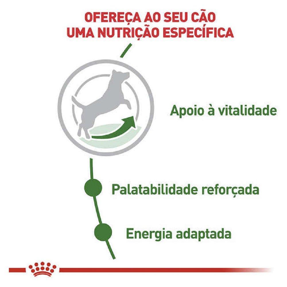 Ração Royal Canin Mini Adult 8+ para Cães Adultos de Raças Pequenas com 8 Anos ou mais - 2,5 Kg - 4
